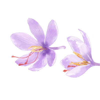 Saffron