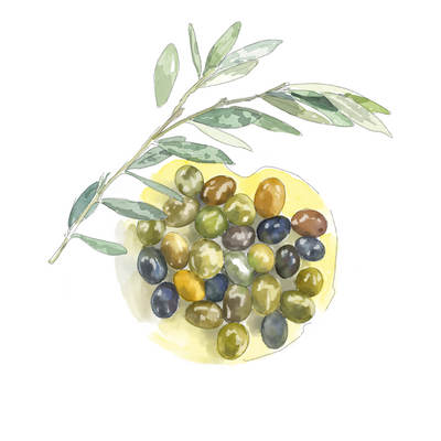 Olive-Derived Squalane