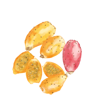 Prickly Pear (Moroccan) Oil