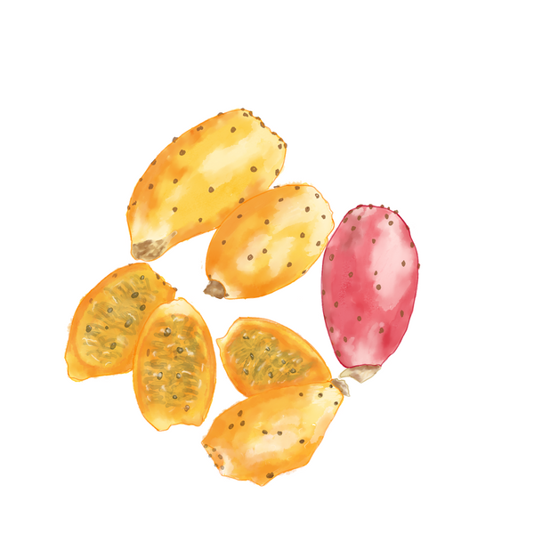Prickly Pear (Moroccan) Oil